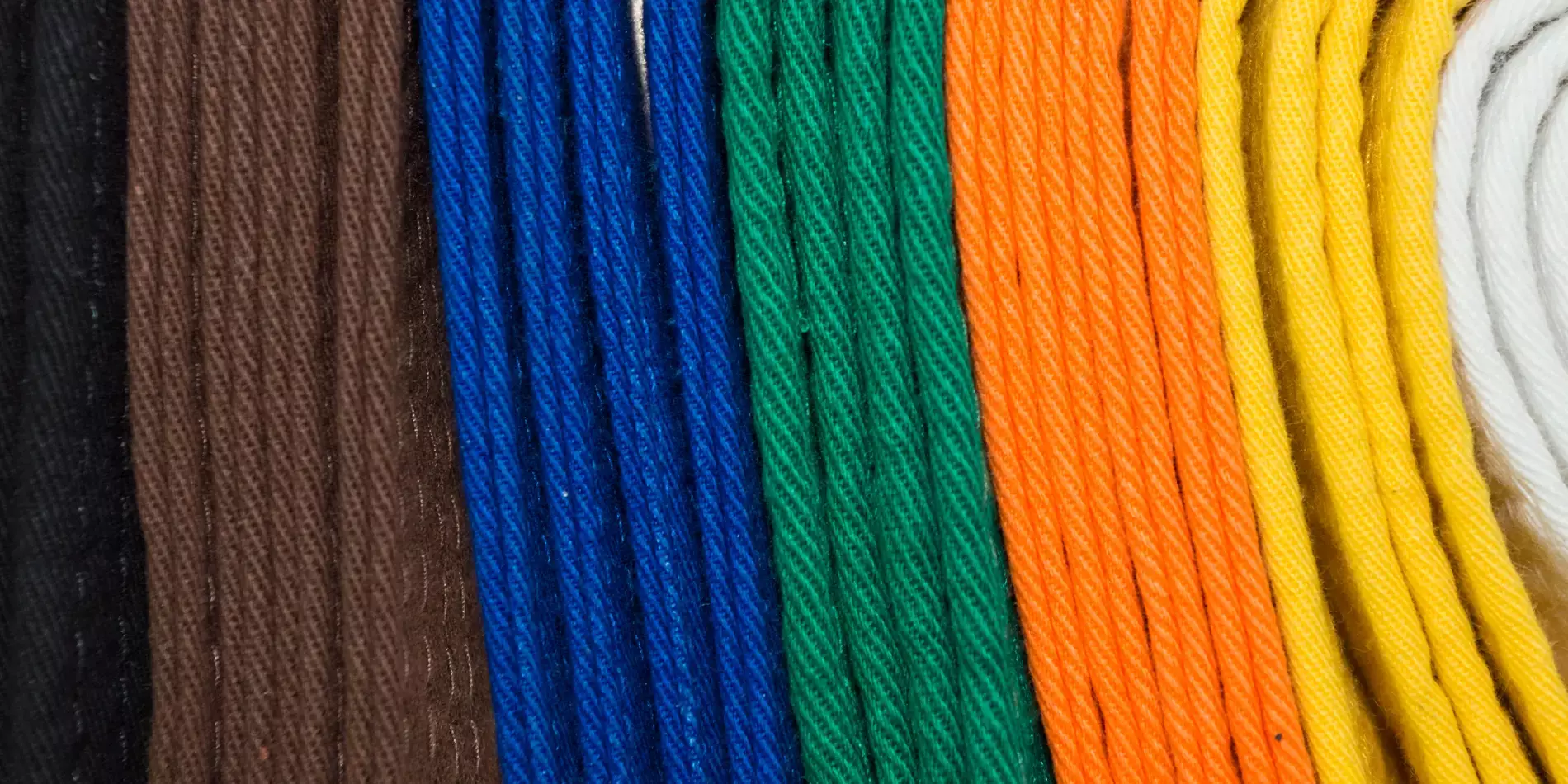 The Judo Belt System Explained